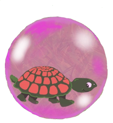 turtle