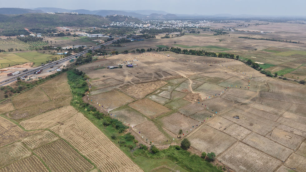 DJI_20250403121543_0405_D.JPG