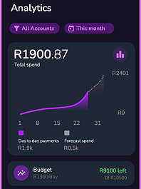 SpendSense Analytics.png