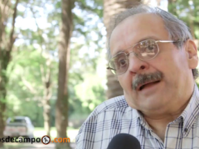 Las malas condiciones ambientales trajo graves consecuencias a la caña de azúcar