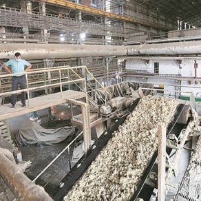 Brasil confía en India para "equilibrar" el mercado mundial del azúcar
