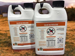 WhatsApp Image 2025-05-29 at 22.11.01.jpeg