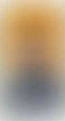 1909-11 T206 Honus Wagner