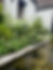 IMG_5894.jpeg