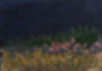 Mymonet-1