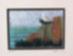 Seagull
