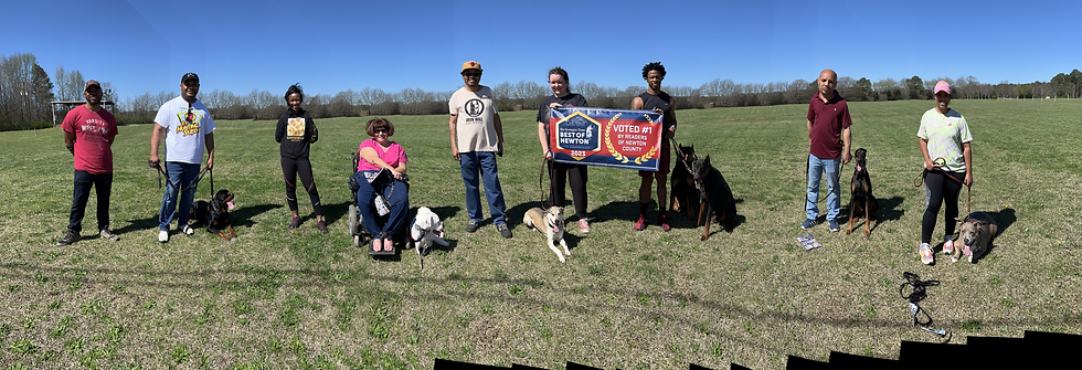 Group dog training class outdoors with multiple owners standing beside their dogs on a grassy field under clear skies, featuring the Iron Will Dog Training logo.