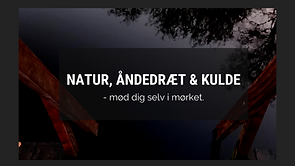 Vinterbadning i mørket i Avnsø… (2).png
