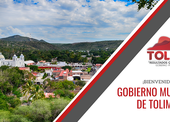 Inicio Gobierno Toliman