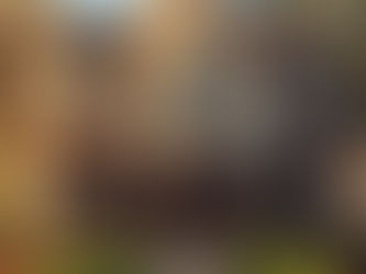 A beautiful home in Georgia