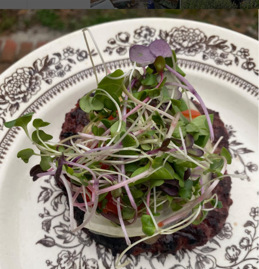 Image Credit: Tiny Shack Farm Insta