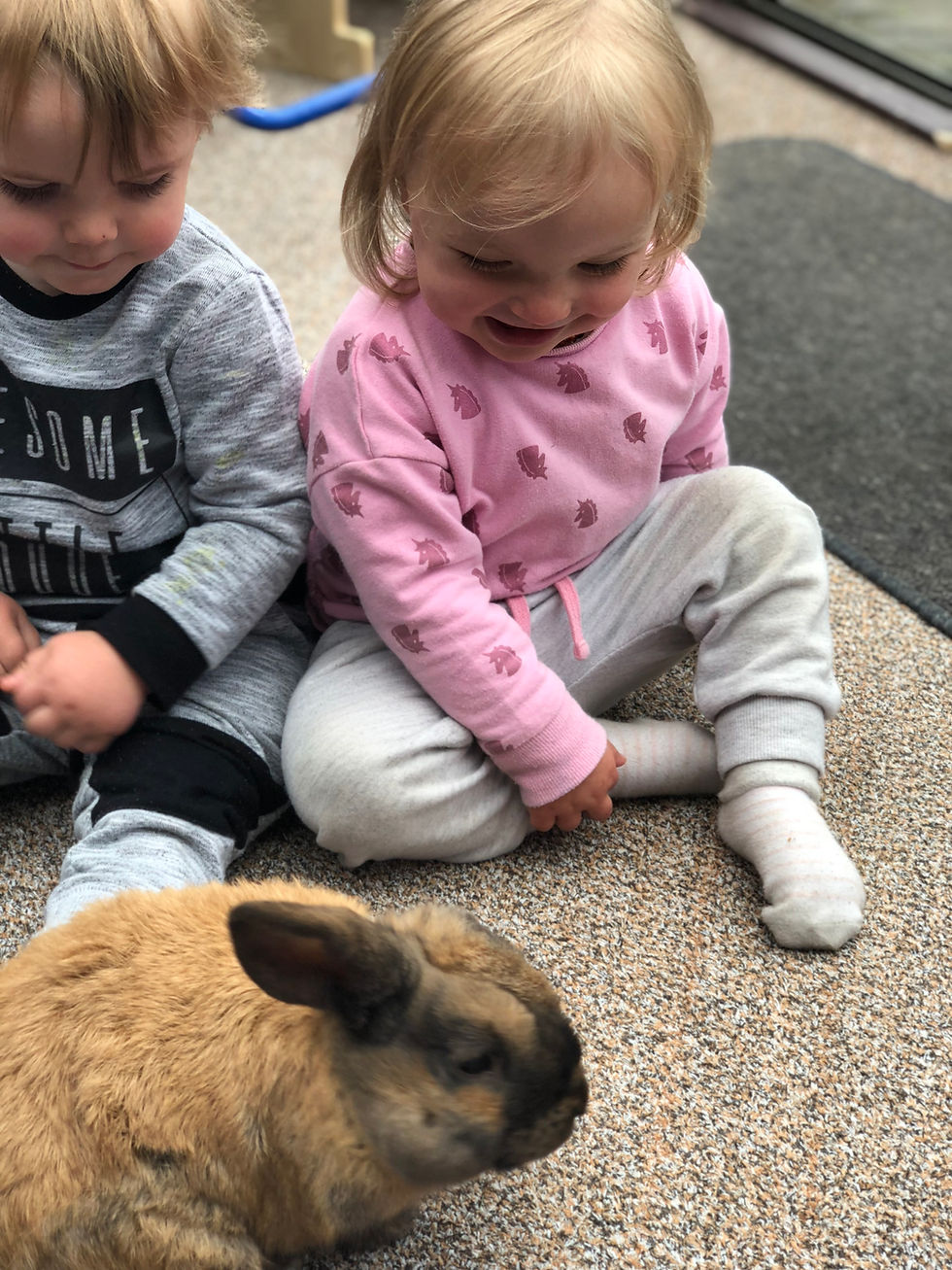 Caring for Animals