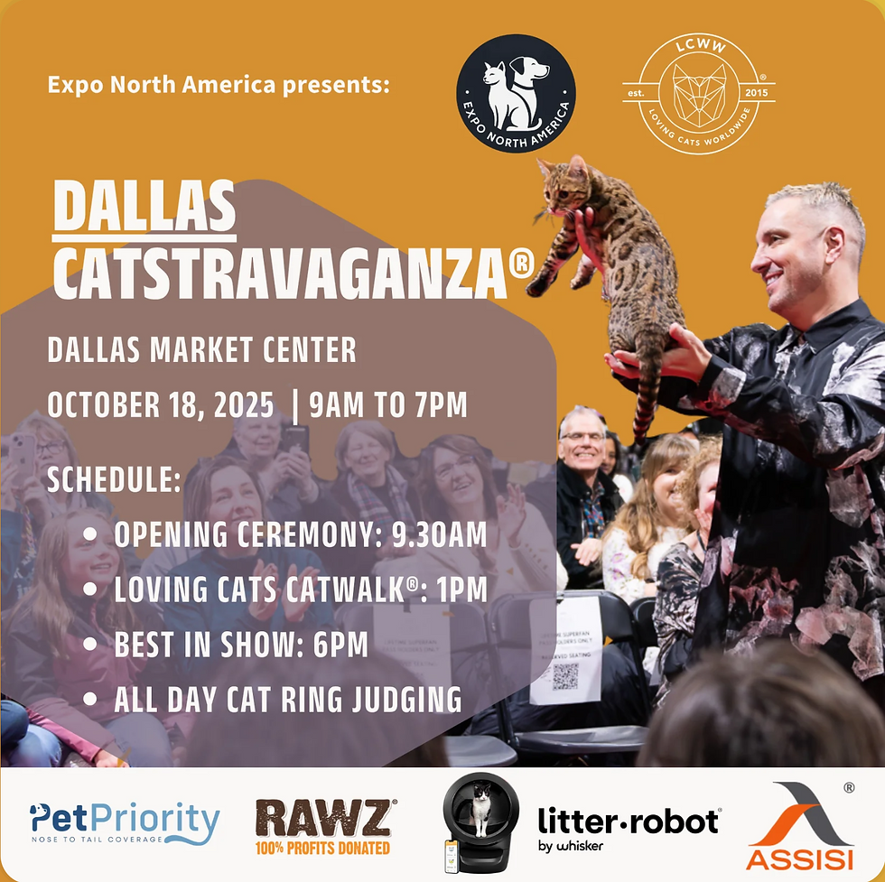 Dallas Catsravaganza dallas market center
