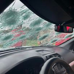 car8.jpg