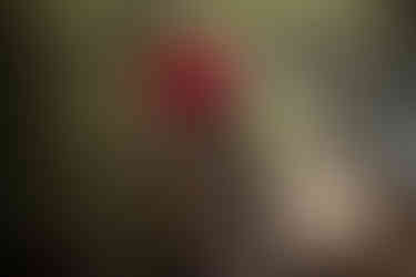 aletha_TLD_2027_Natalie_Carriere-17