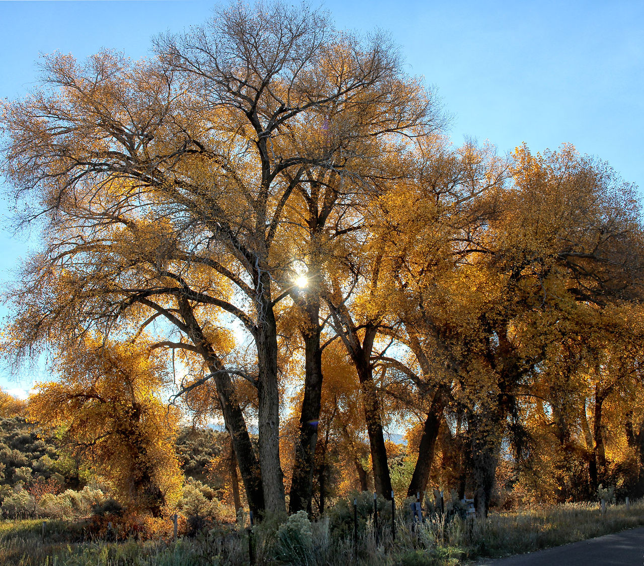 El Prado, NM