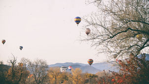 Today's Balloons!