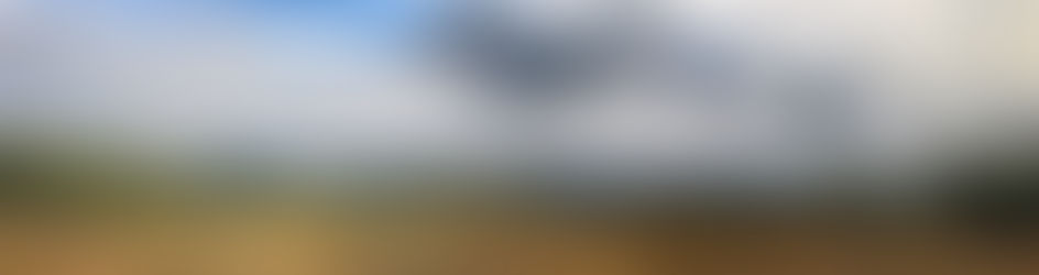 Today's Tall Grass