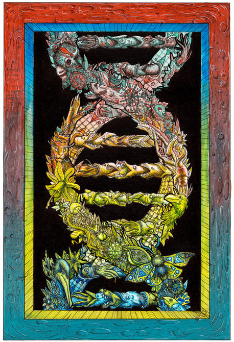 metamorphosis crop.jpg