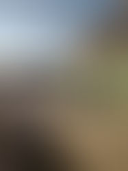 As expedições no Josafaz