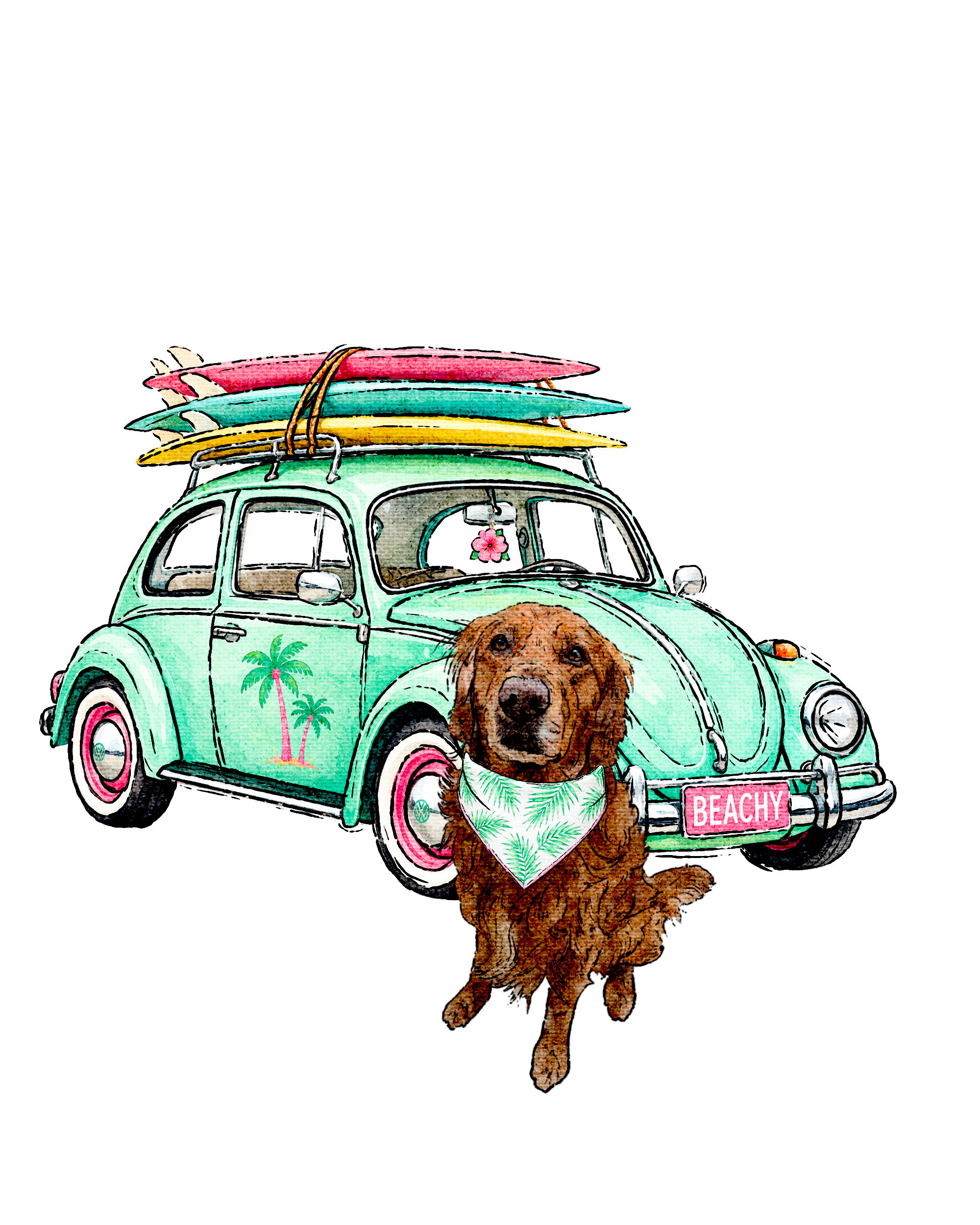 West Coast Beetle