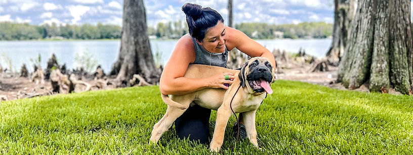 Bull mastiff puppy and dog trainer_edited.jpg