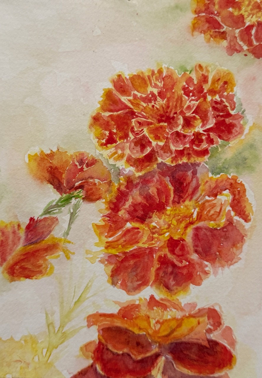 Marigolds (print)