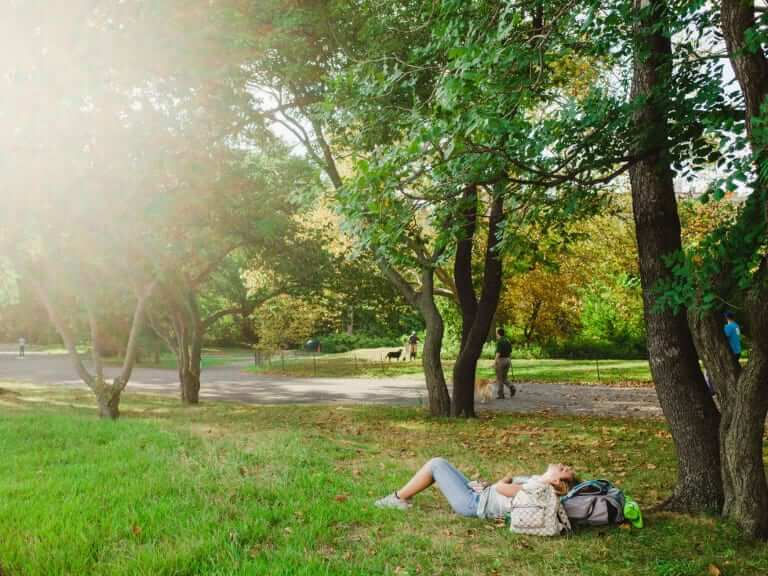 Que tal um piquenique no Central Park?