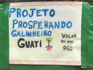Projeto Prosperando o Galinheiro: introdução prática à vida financeira