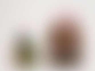 Dica: arte gratuita no MoMA