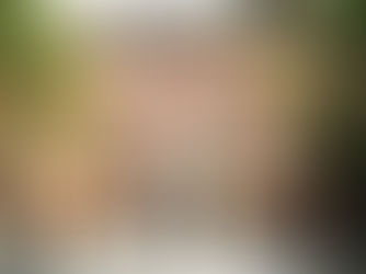 Museus de graça durante a semana em NYC