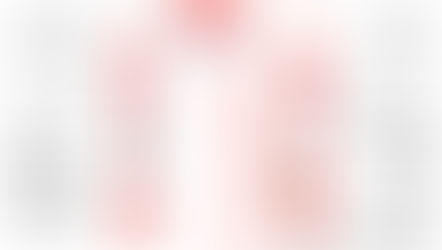 Understanding the Polyvagal Nervous System and Its Impact on Well-Being