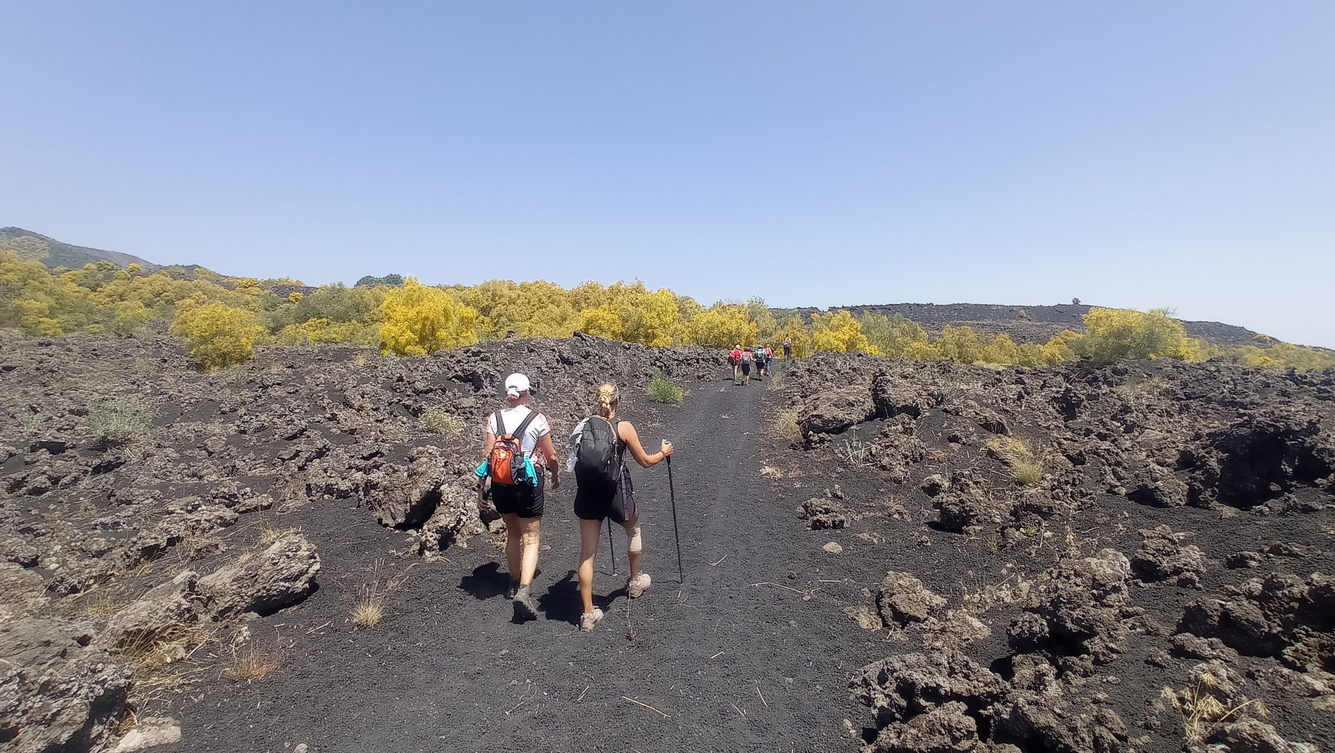 Il Sentiero degli Alberi Monumentali dell'Etna - Sicily By Nature