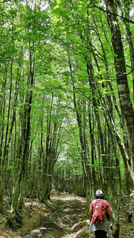 Parc régional des Nebrodi - Les lacs du Monte Soro, la fièvre du trekking du dimanche - La Sicile par nature 2023