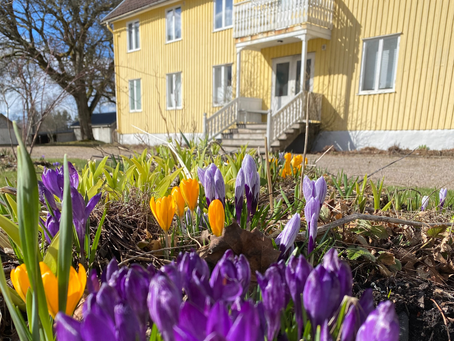 The Center is Blooming: The start of a new Season