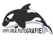 orca1_2.png