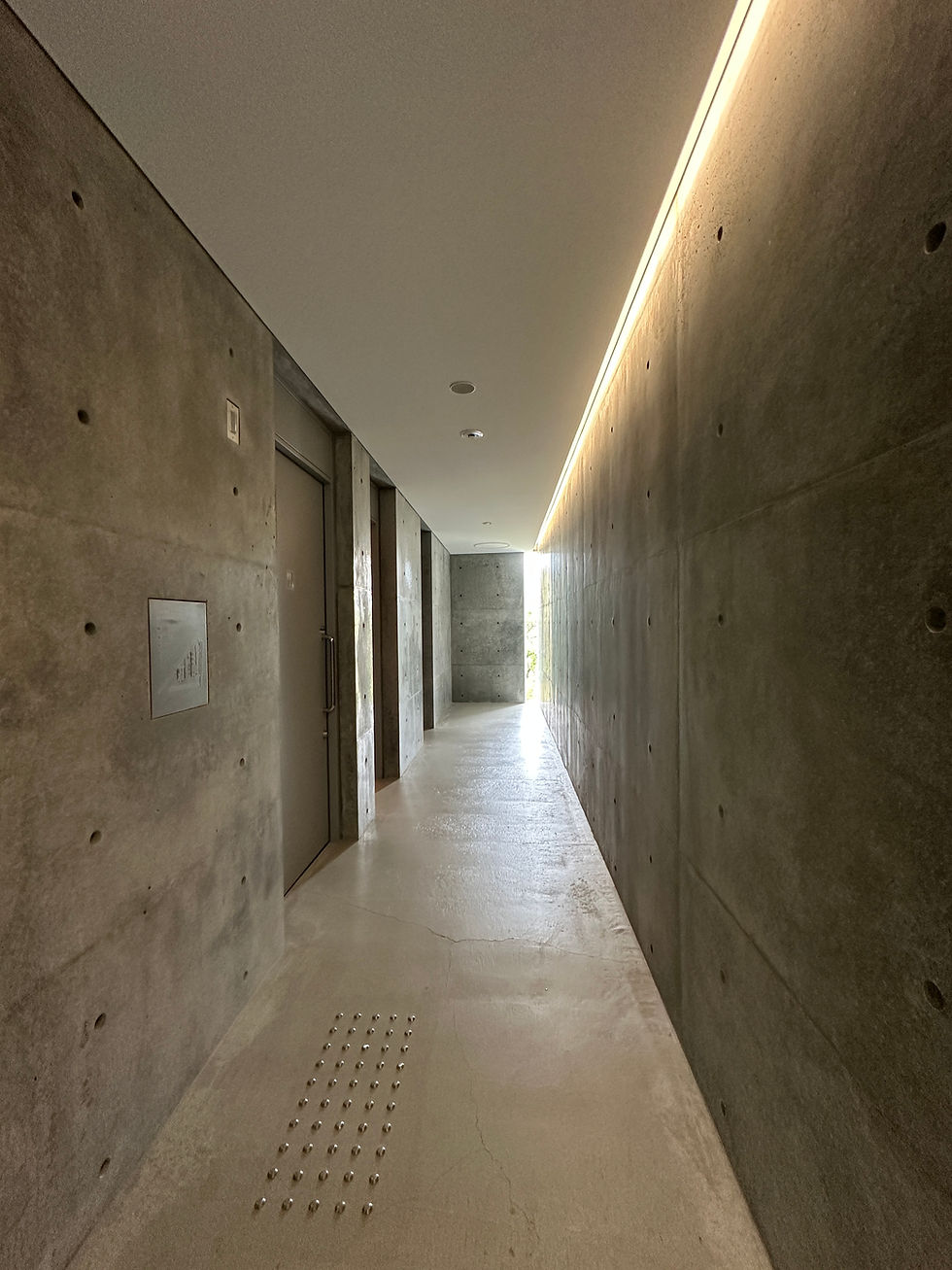 直島町｜直島新美術館