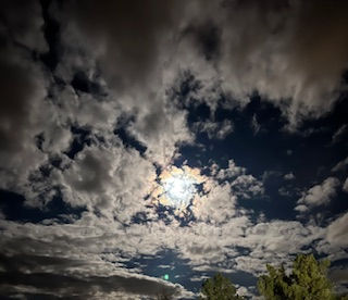 Understanding Infinity