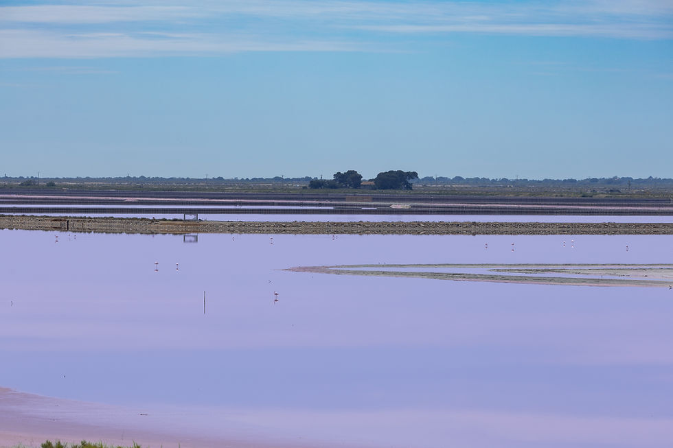 Les salins à Aigues Mortes