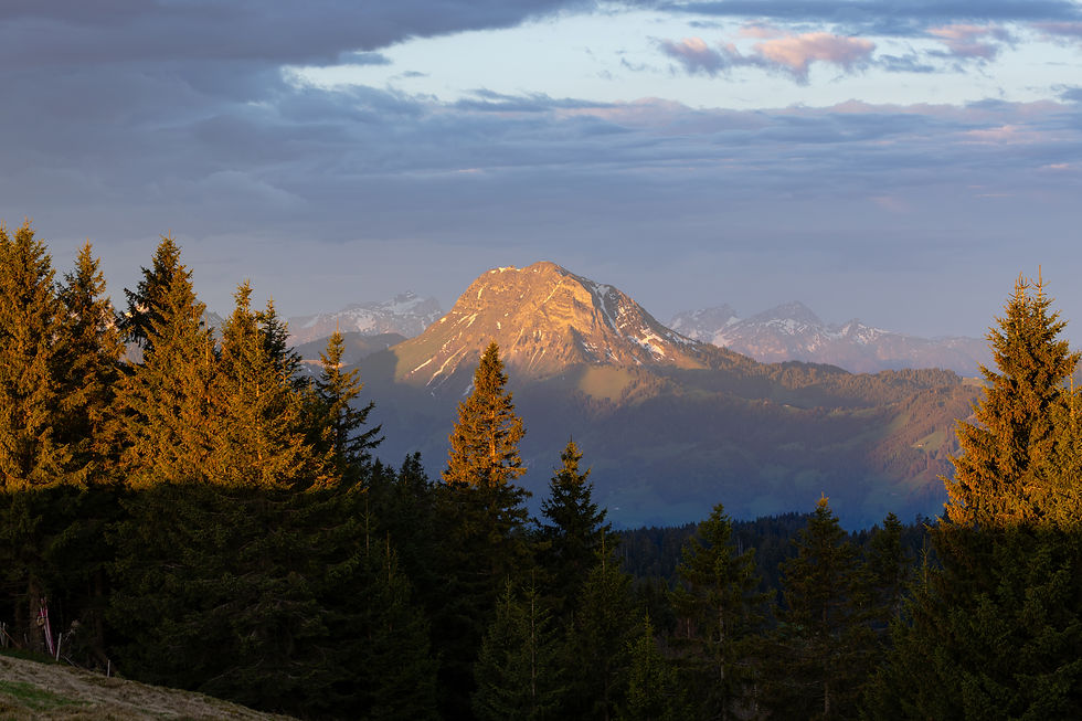 Moléson, vue du Cousimbert, au lever du soleil