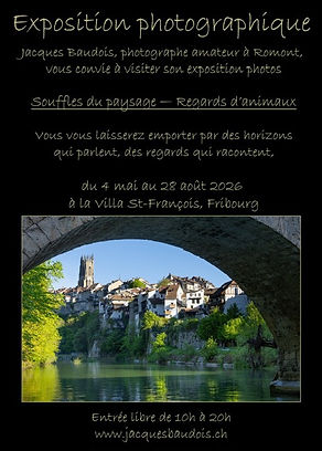 fe8d3bc8-8dbb-4481-8f1c-1b43f0379745 (1).JPG