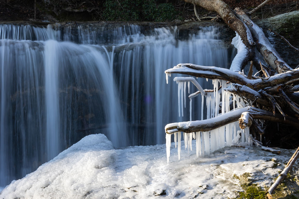 Chutes de Chavannettes / 15.01.2025