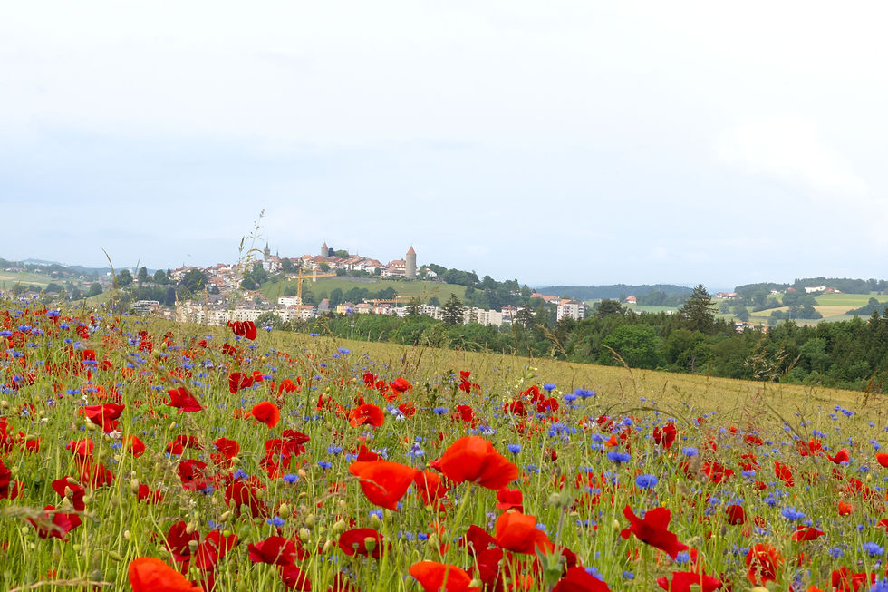 Décor floral, magie de la nature