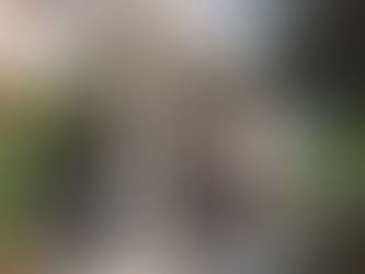 Conosci le Pergotende e le Pergozip?