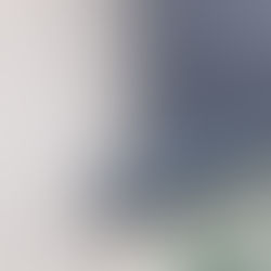 Tende a rullo vs Veneziane