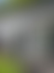 Quanto risparmi davvero sul condizionatore con una tenda da sole