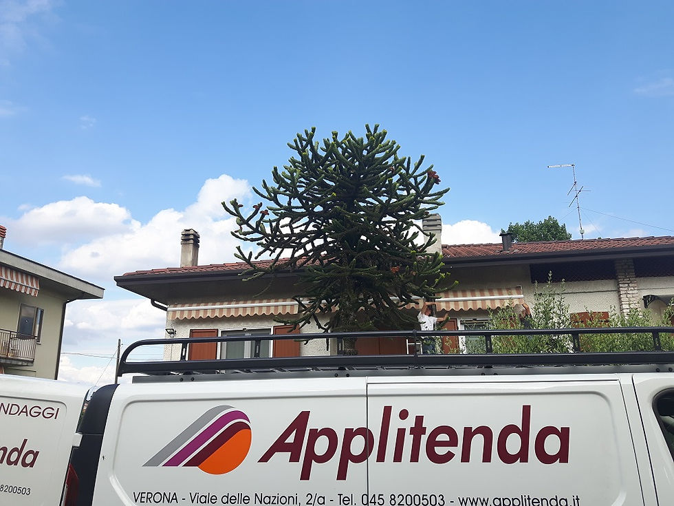Tende da Sole Applitenda