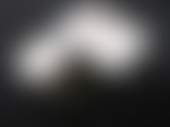 Intervista a Mirko Bortignon sulle tendenze della stagione estiva