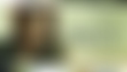 Análise | Quanto Vale? - 11 de Setembro como você nunca viu