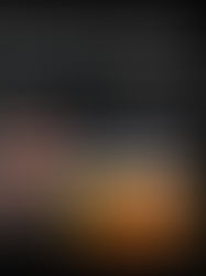 Australian Geographic Nature Photographer of the year Exhibition talks